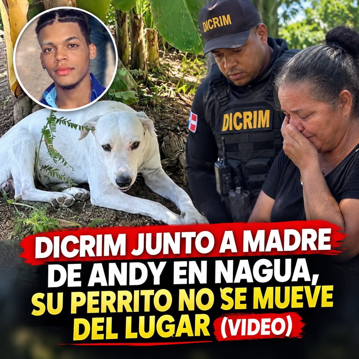 Foto de la fuente: un agente de la DICRIM junto a la madre de «Vaguito» y el perro del joven, que sigue esperándolo